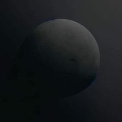 The Venus Explorer