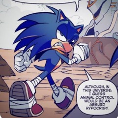 Sonic The Hoghedge