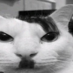 kittler