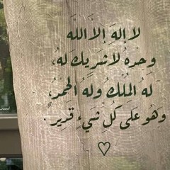 abeer sharkawy