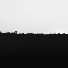 ‎