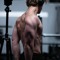 Steve_D