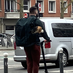 gegelastreet
