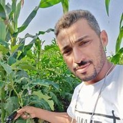 محمد الغرباوي