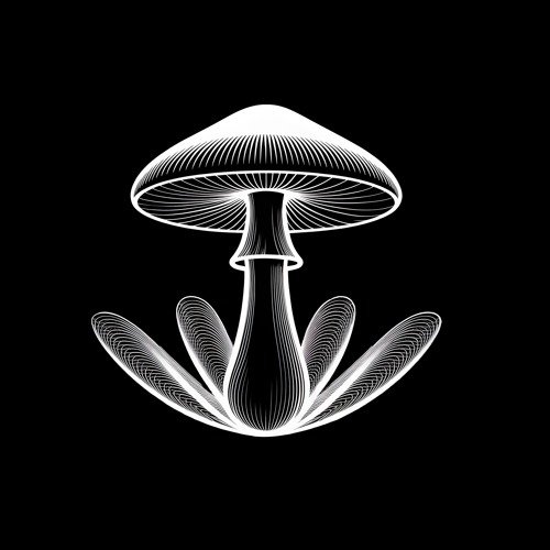 Full On Set - 1h - 145 BPM - 31/08/2025 - Karamazov