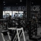 lobo solitário gym