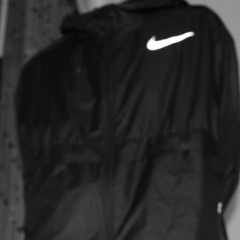 ANTZOOMVISUALZ