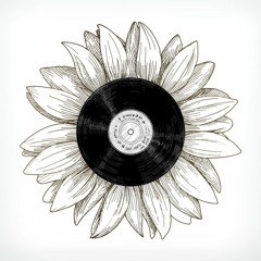 the sunflowers