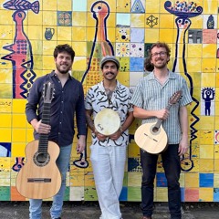Ricardo Steyer Choro Ensemble