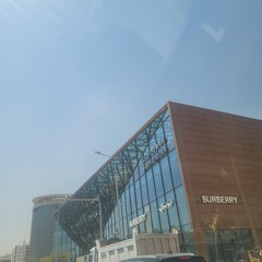 عبدالرحمن الباشا