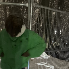 miraixx