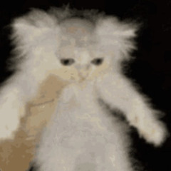 Tas