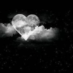 نفيسه الهدار