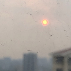 FEEEleven非壹萊聞