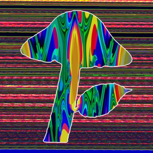 Fungifolium’s avatar