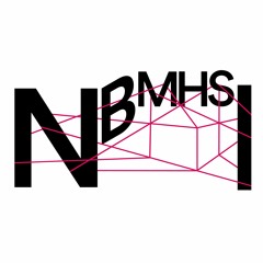 Netzwerk Berliner MHS-Initiativen