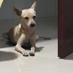 Hằng Ri