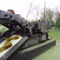 Czdf3