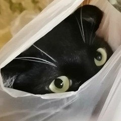 biba