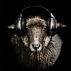 Dj6orre9o_