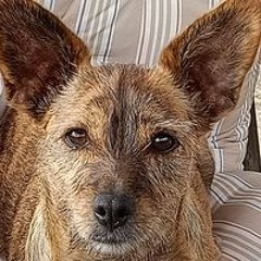 Carmen Sanchez Escribano