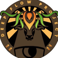 DeepFlowProject