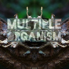 Multiple Organism