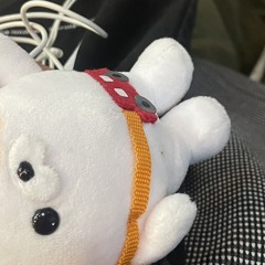 RISURISU