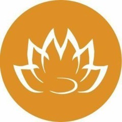 Web & Mobile App Solutions