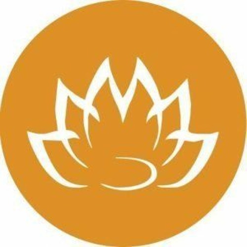Web & Mobile App Solutions