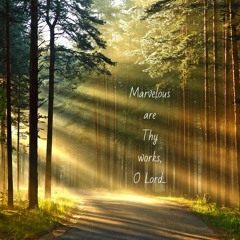 ##lonewolftunes##a diff approach to lyrical truth