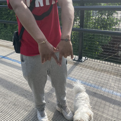 $aint