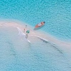 sharkawy