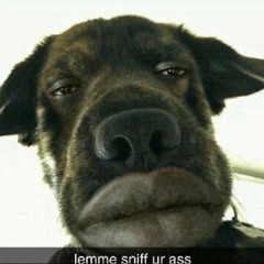 Kārlis Roberts Venskis