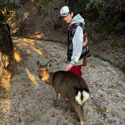 Stream Cool Rabbit music | Listen to songs, albums, playlists for free ...