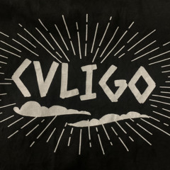 CVLIGO