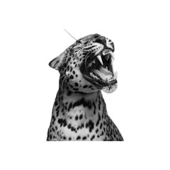 ‌ ‌‌ ‌ ‌ ‌ ‌𑜟A