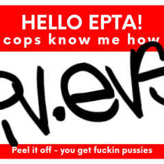 iv evs
