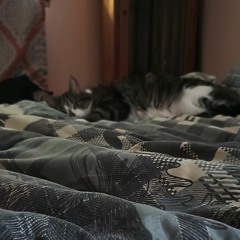 Mwlovesmaxi
