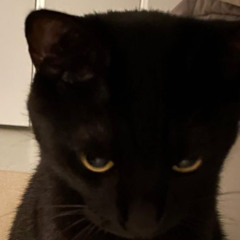Prince
