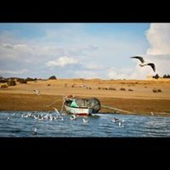 حسن اسلام