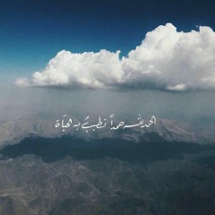 Alaa Anwer