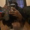 SigkeepitonHim @westside_sig