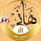 Hany Elmeshneb