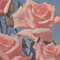 rosépetals