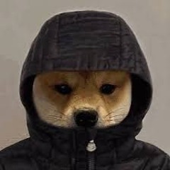 AXH4SE