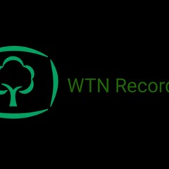 WTN Records