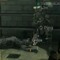 NEST_644