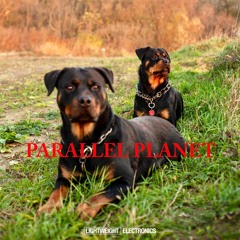 PARALLEL PLANET