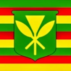 ybnrml808
